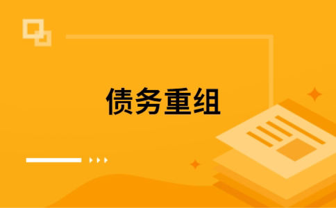 美姑个人网贷债务重组（美姑个人债务重组公司）